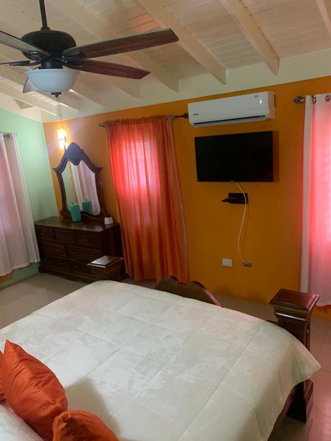 Paradise Villa Shared Onsite Private Pool Onsite Gym Ocho Rios Dış mekan fotoğraf