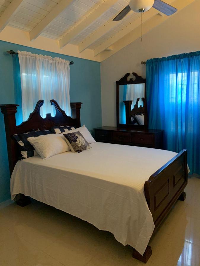 Paradise Villa Shared Onsite Private Pool Onsite Gym Ocho Rios Dış mekan fotoğraf